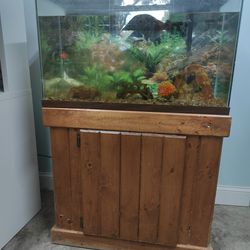 Fish Tank and Cabinet