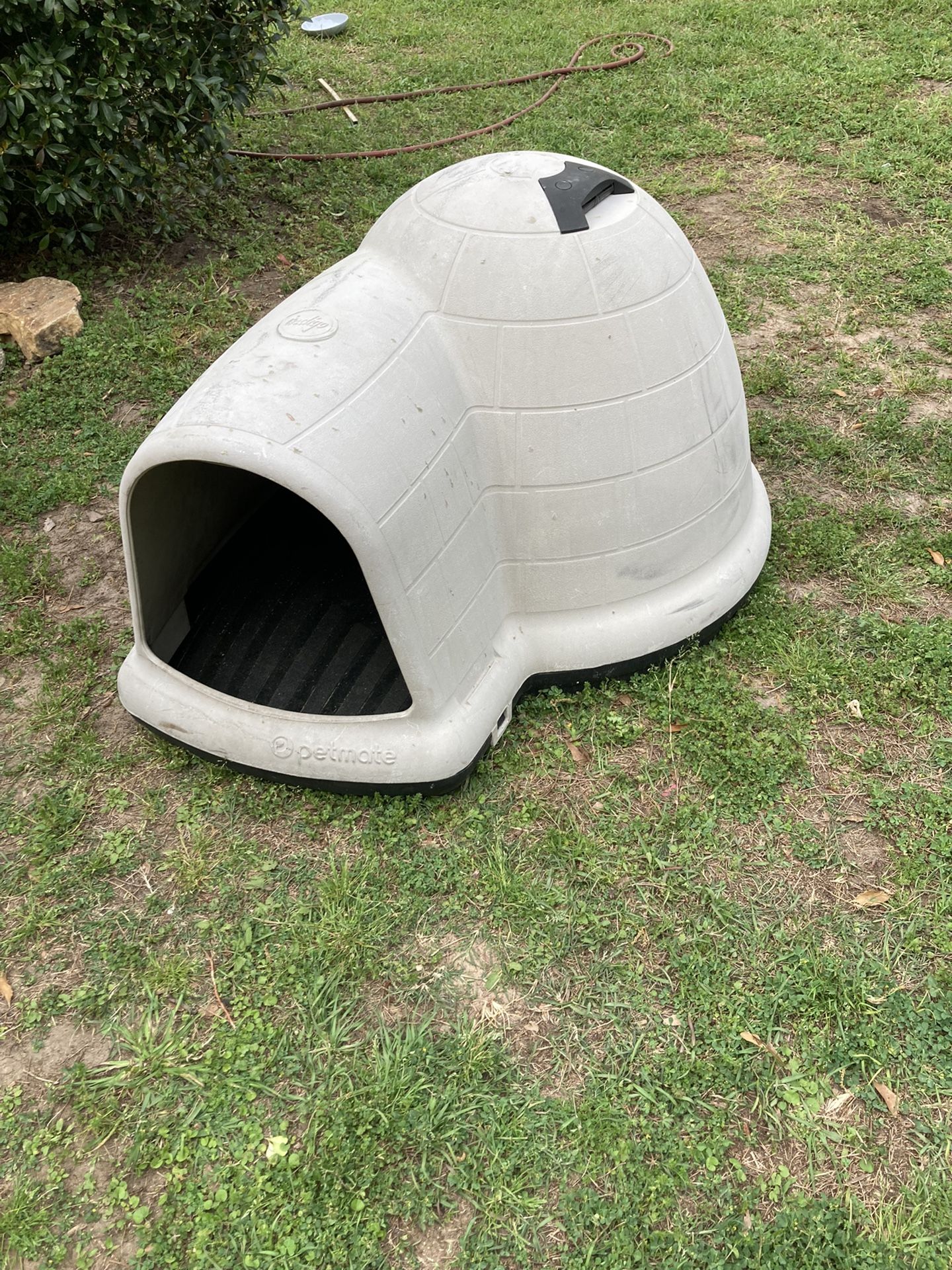 Dog House