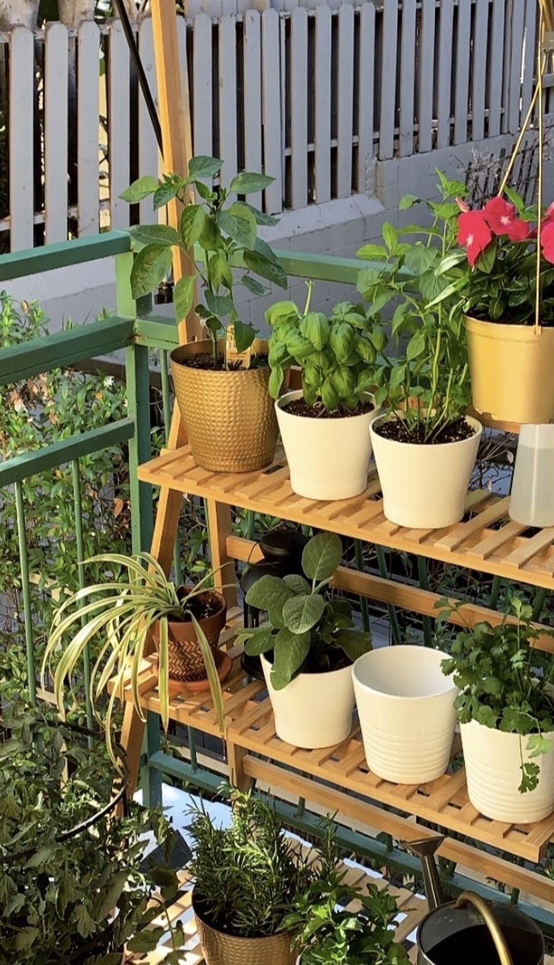 Plant Stand for Vertical Garden