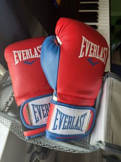 Everlast Power lock Training Gloves 14oz