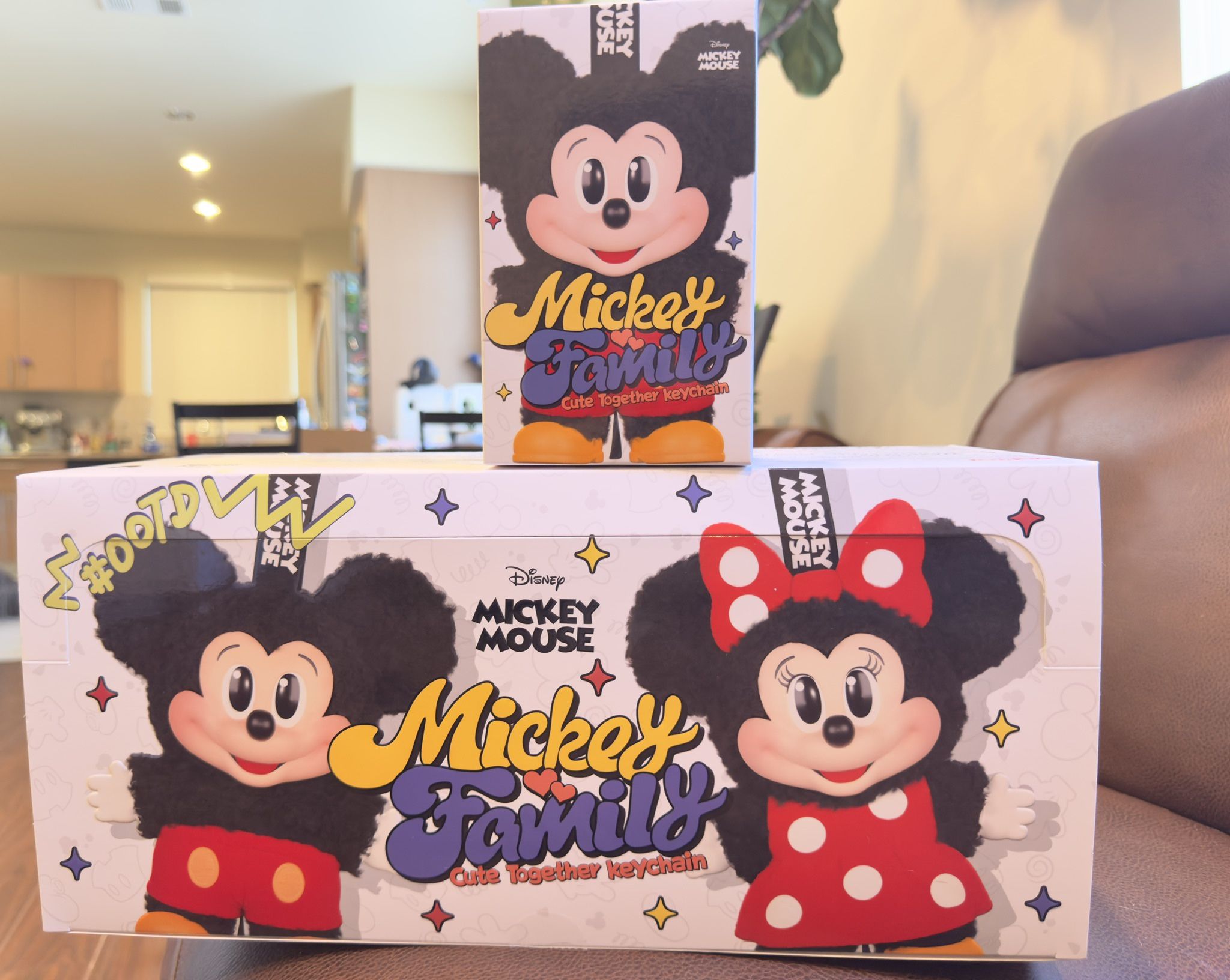 Mickey Family