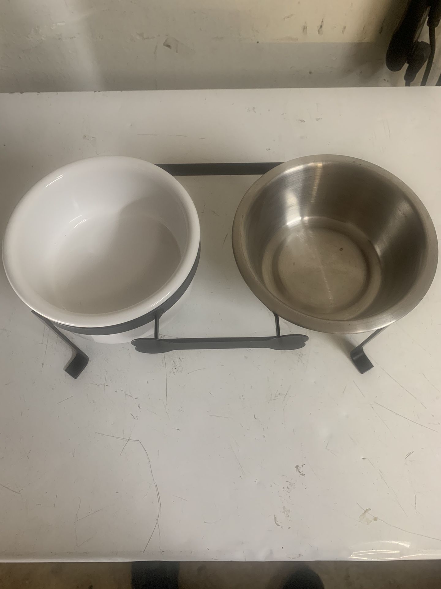 Glass And Stan And Steel Dog/Cat Bowl