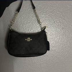 1:1 coach bag