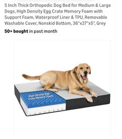 5" Thick Orthopedic Memory Foam Dog Bed - Large, Grey