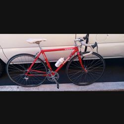 1985 Trek 1500.  Small Frame