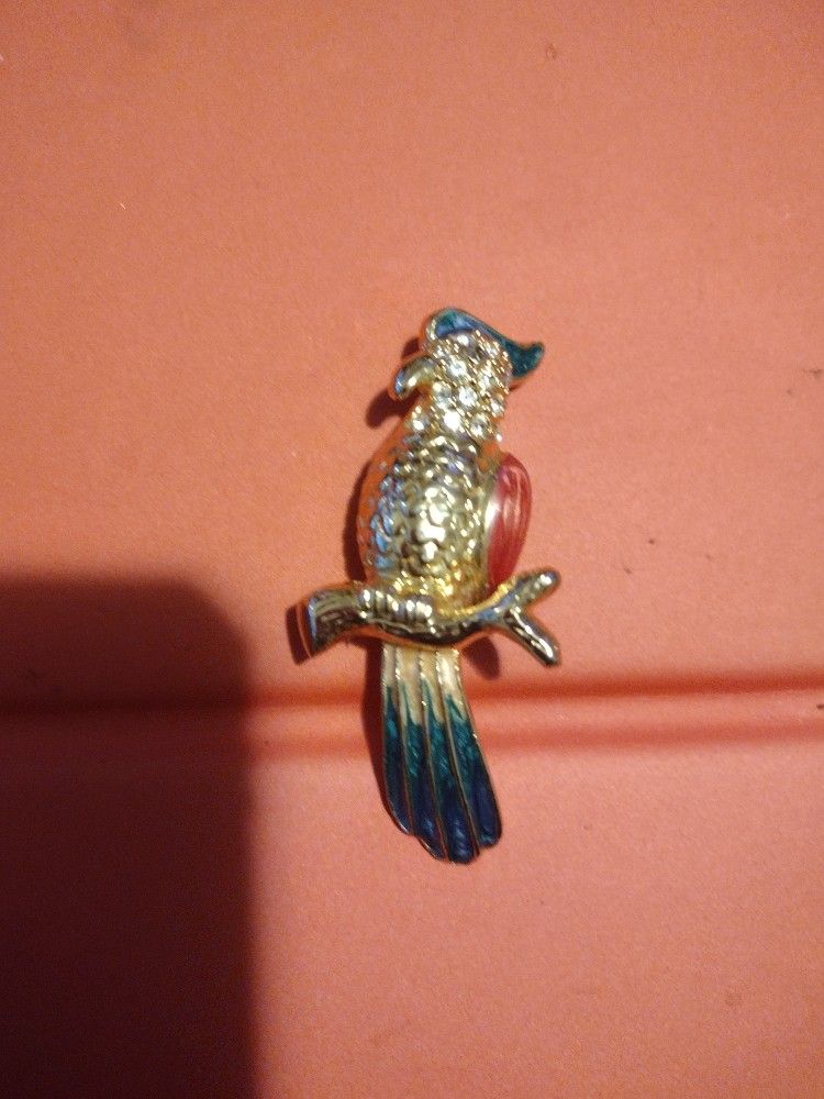 Parakeet Broach Pin