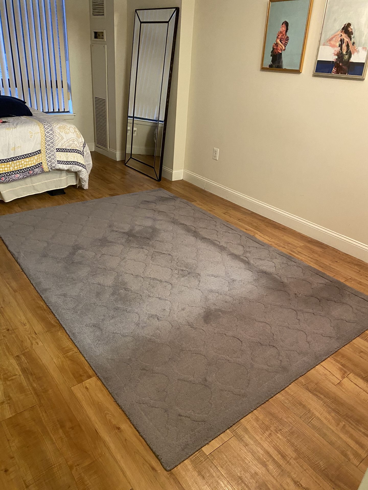 Pier 1 Area Rug with Free Runner