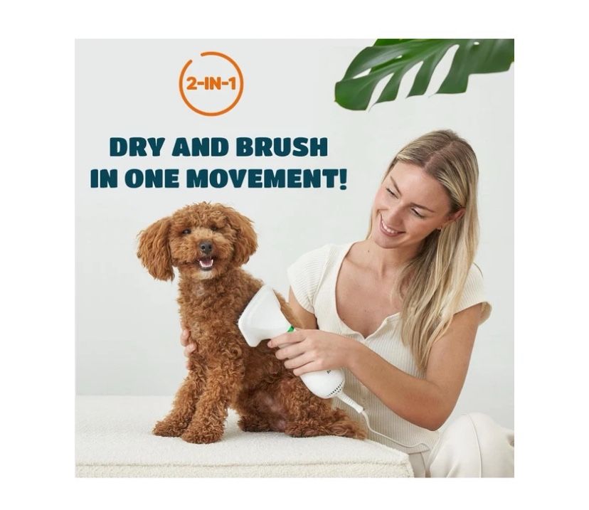 2-in-1 Dog Hair Dryer with Slicker Brush for Small-Sized Dogs and Cats | Pet