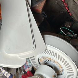 Ceiling House Fans