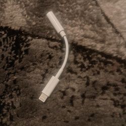 iPhone Auxiliary Connector (New)