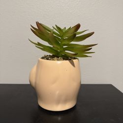 Fake Boob Plant