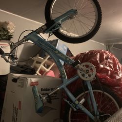 Trek Kids Bike
