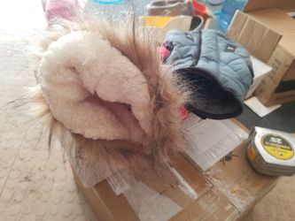 Small Dog Coats