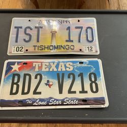2 Vintage License Plates 
