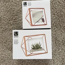 Two Floating picture frames