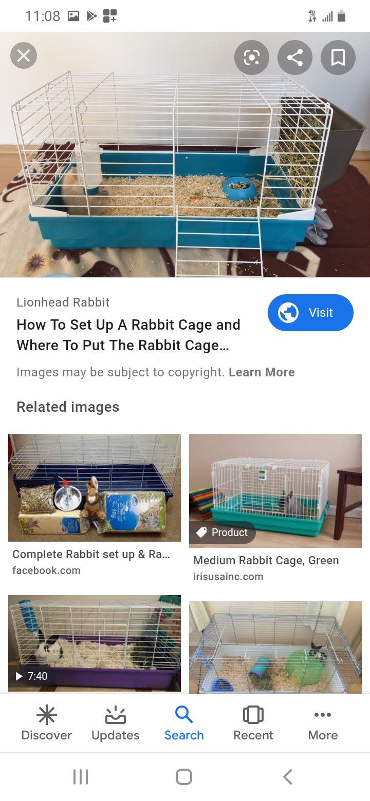 Bunny cage hmu more info