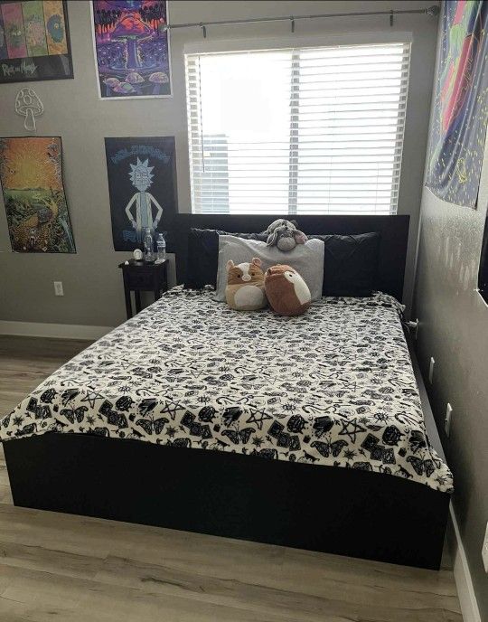 Ikea MALM Black Queen Bed Frame