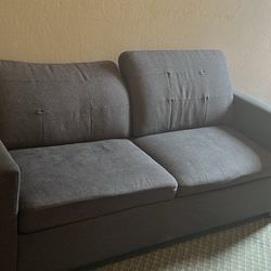 Couch With Pull Out Bed 