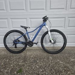 Custom Trek Marlin Gen 6 Bike