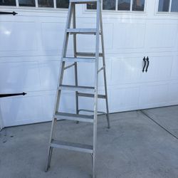 Ladder 6 Feet