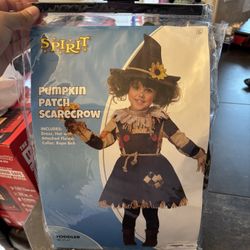 New Scarecrow costume
