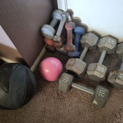 Bench And Weights 