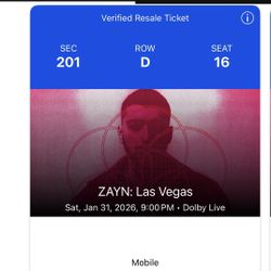 Zayn Malik: Las Vegas 