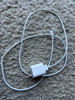 Apple iPhone Charger (Original)