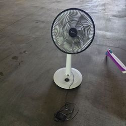 Fan