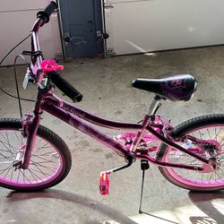 20” Girls’ Bike – Great Condition, Only $45