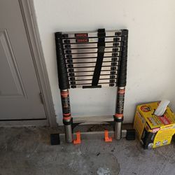 16 Foot Extendable Ladder 