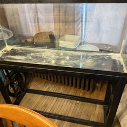 55 Gallon Tank And Metal Stand