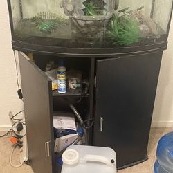 36 gallon bow front fish Tank 