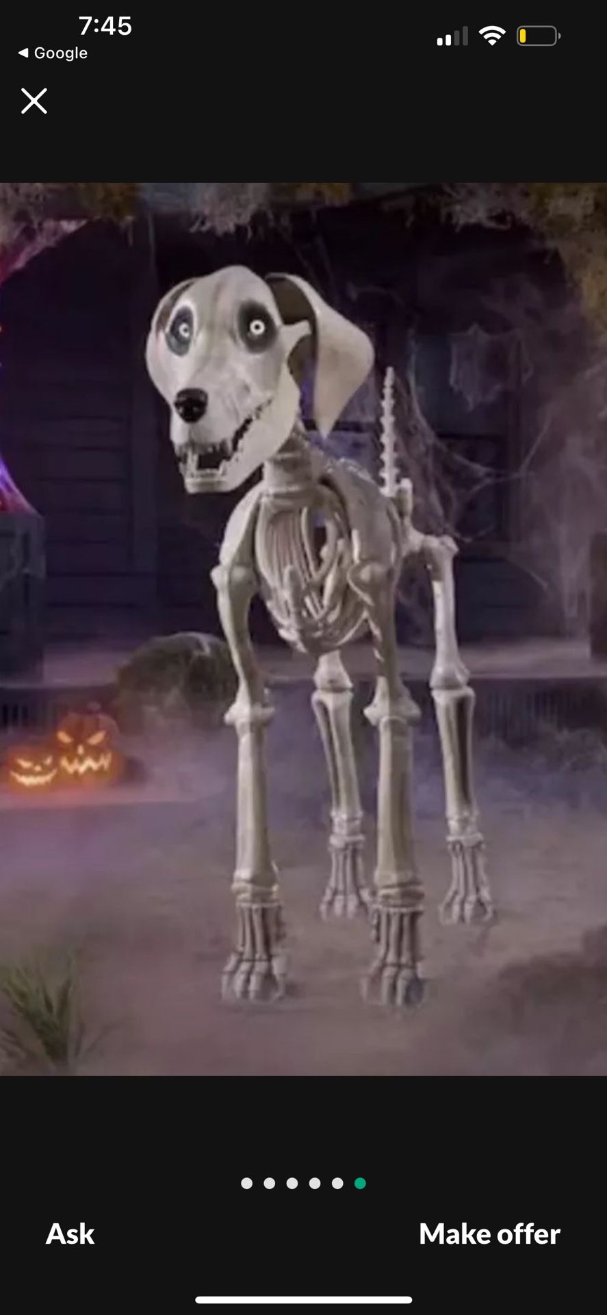 Brand New Halloween Dog