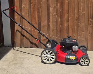 Push Mower 21"
