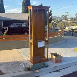 Free Book Shelf / Curio Cabinet 