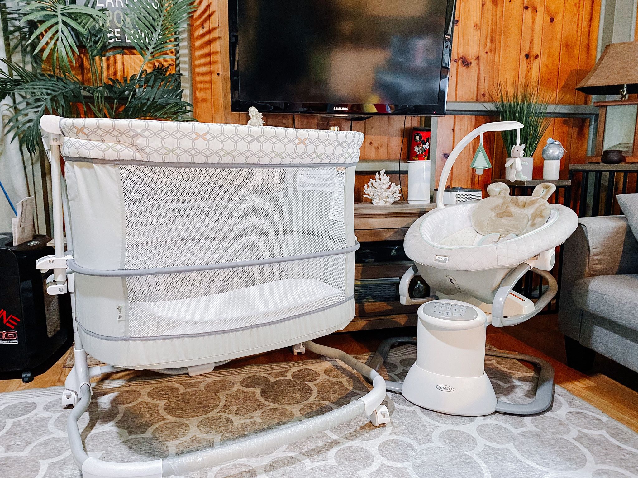 Bassinet & Every Way Soother 