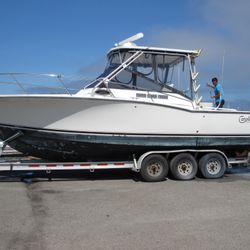 Carolina Classic 28