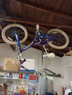 Schwinn Deelite girls bike