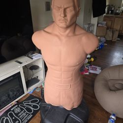Century  Bob W/torso Kick Boxing