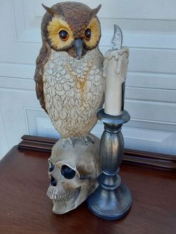 New  Owl Decor