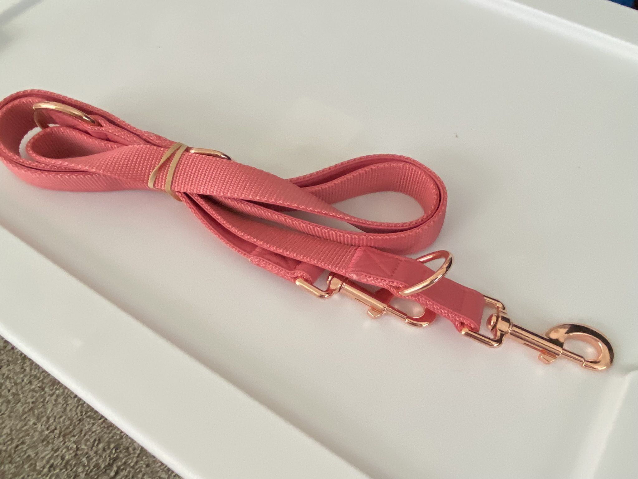 Dog Leash