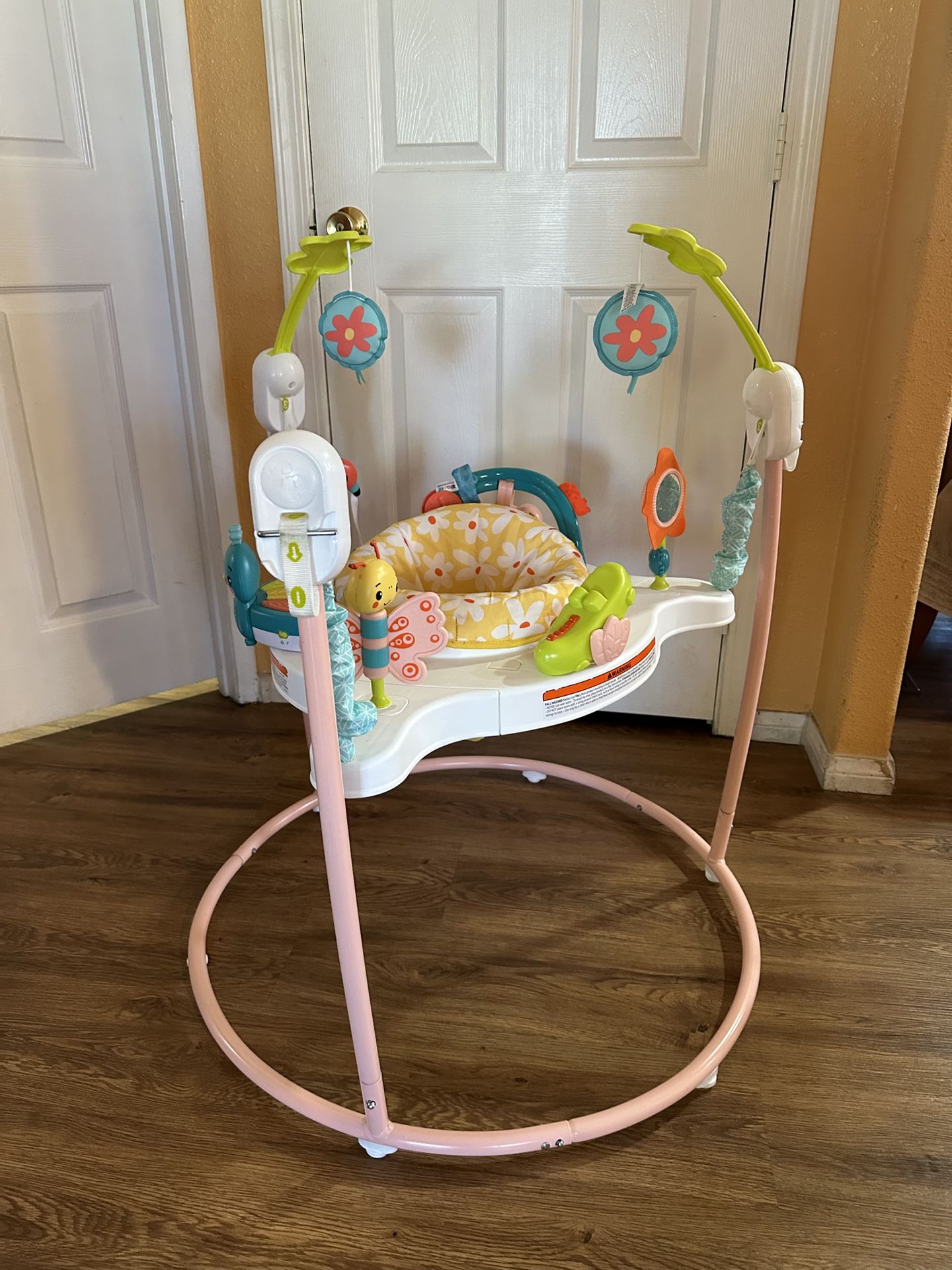 Fisher Price Baby Bouncer