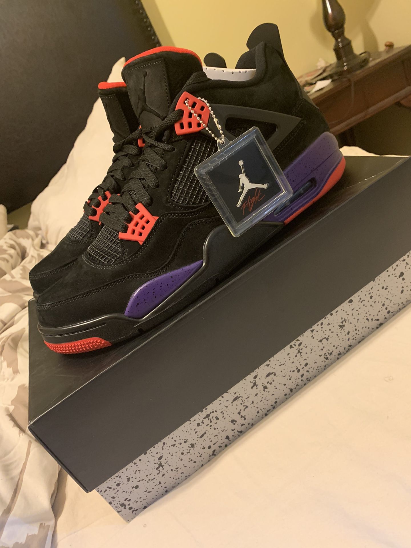 Air Jordan Raptor 4s