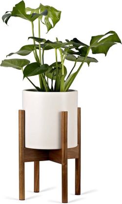 Mid Century Style Cross Leg Design Wood Display Adjustable Plant Stand
