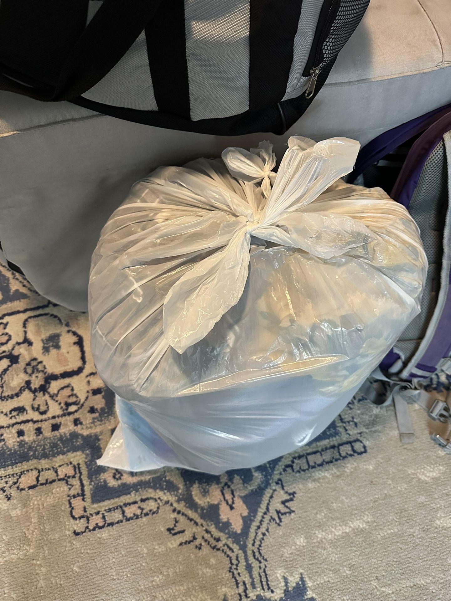 Women’s Clothing Bag 