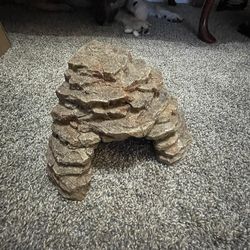 Extra reptile stuff I don’t need