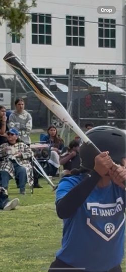 Bat