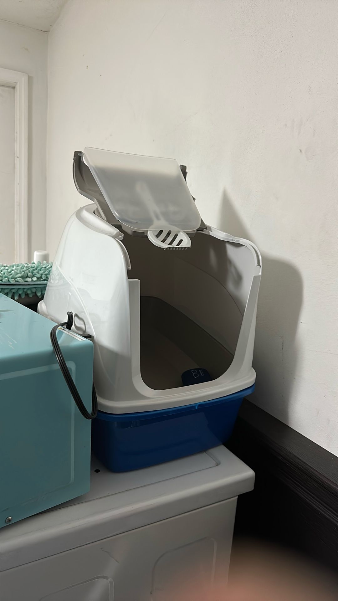 Litter Box