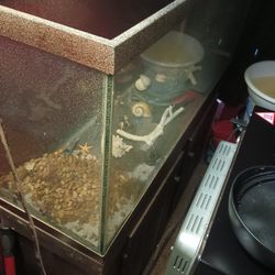 50gallon With Stand. Little Paint On Glass You Can Get Off Fast